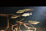 IMG 6791 1