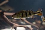 IMG 6787 1