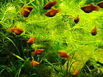 IMG 20170403 191241