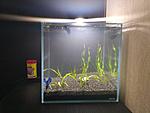 aGLASS Nano 15.  25.03.17