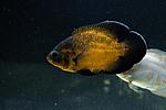 IMG 6806 1