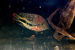 IMG 6813 1