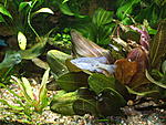 DSCF9830