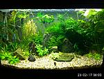 1IMG 20170223 080049 HDR