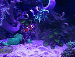 IMG 20170322 180028