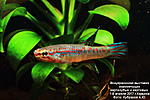 IMG 9887  