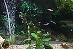 IMG 1942
