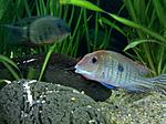 IMG 20170511 084741