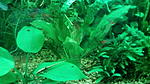 IMG 20170219 195141