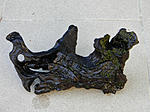 DSCN7464
