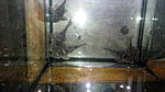 IMG 20170415 195708