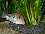 IMG 20170511 083312