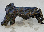 DSCN7466