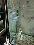 IMG 20170428 115049