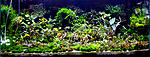 DSCF5126