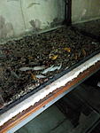 IMG 20170428 115002