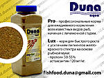 Duna babyLux