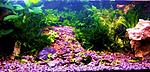 DSCF2223 