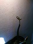 IMG 20170529 183923