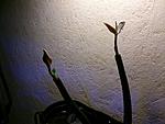 IMG 20170529 205437