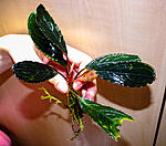 DSCF5282