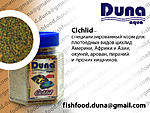 Duna Cichlid
