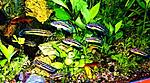DSCF2194