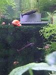 CAM00383
