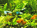 IMG 20170613 200258