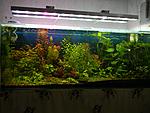 DSCN7548
