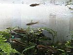 IMG 20170626 161657