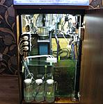 IMG 9818