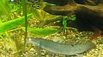 IMG 20151101 201644