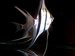 IMG 20170701 223255