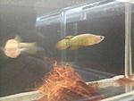 IMG 20170617 135122