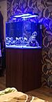 IMG 20151127 165514