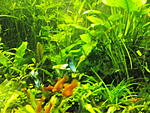 IMG 20170613 200139