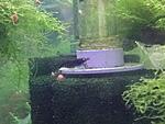 CAM00380