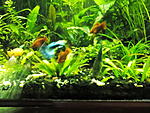 IMG 20170613 200129