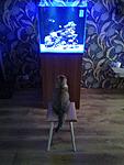 IMG 20160121 104759