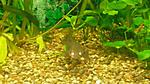 IMG 20151101 201424