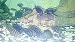 IMG 20170628 203930 246