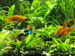 IMG 20170613 200304