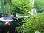 CAM00395