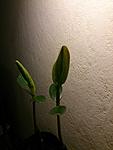 IMG 20170718 233625