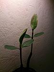 IMG 20170718 233635