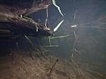 Huralnya lake underwater