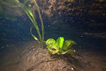 Huralnya lake underwater