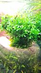 IMG 20170730 171649