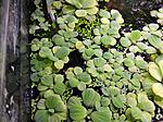 IMG 20170825 174828
